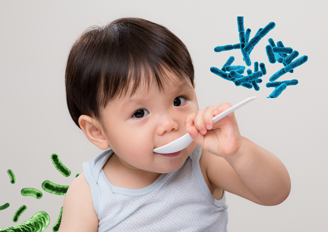 Top 5 Probiotics for Toddlers Every Parent in Singapore Should Know