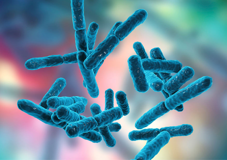 The Difference Between Probiotic Strains: What You Need To Know